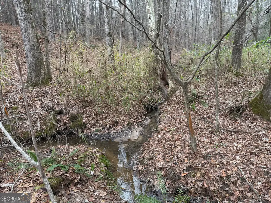 0 Haines Road, Franklin, GA 30217 - Image #2