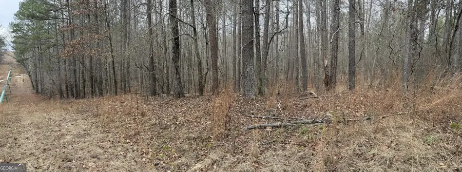 0 Haines Road, Franklin, GA 30217 - Image #3