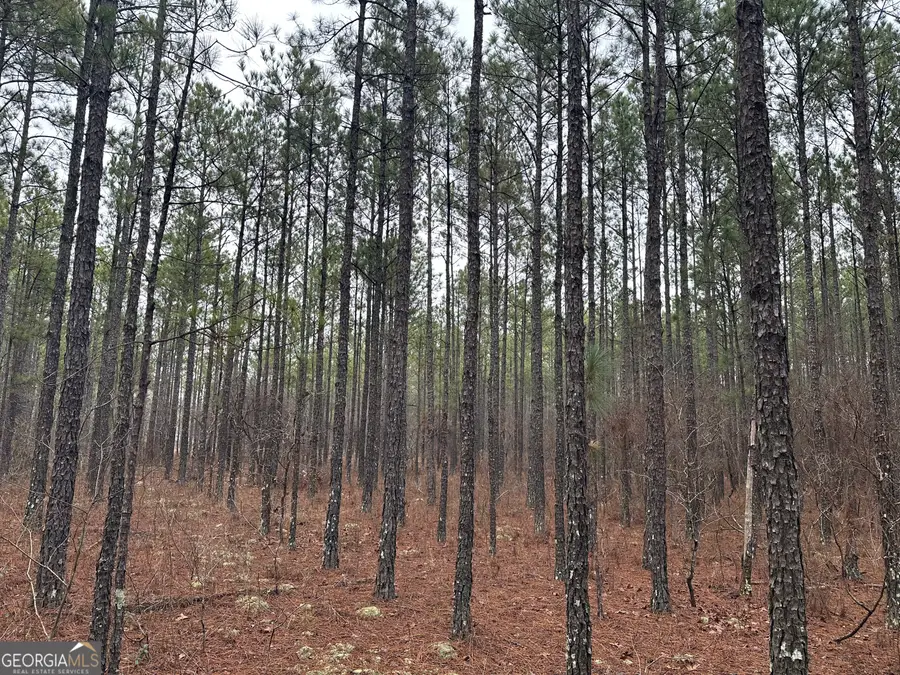 000 Hunter Drive, Mauk, GA 31058 - Image #3