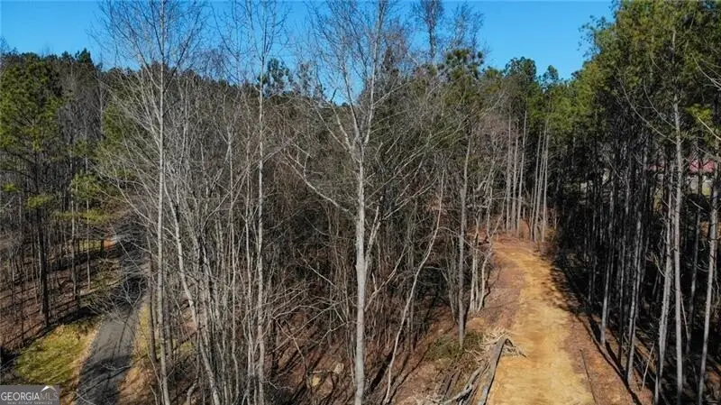 5.566 Acres On Orlando Path, Dallas, GA 30157 - #2