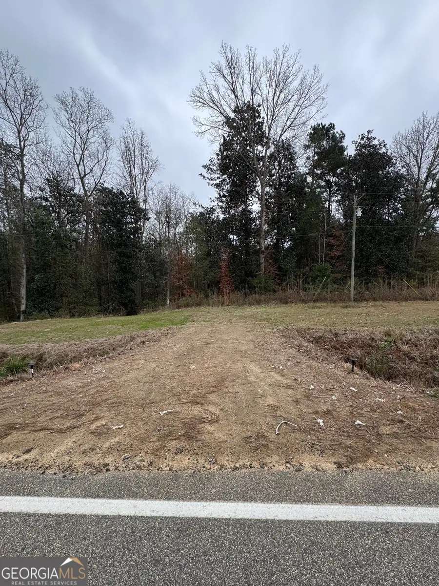 0 111 North Highway, Cairo, GA 39827 - Image #2