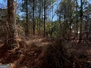 0 Cook Road Southwest, Stockbridge, GA 30281 - #3