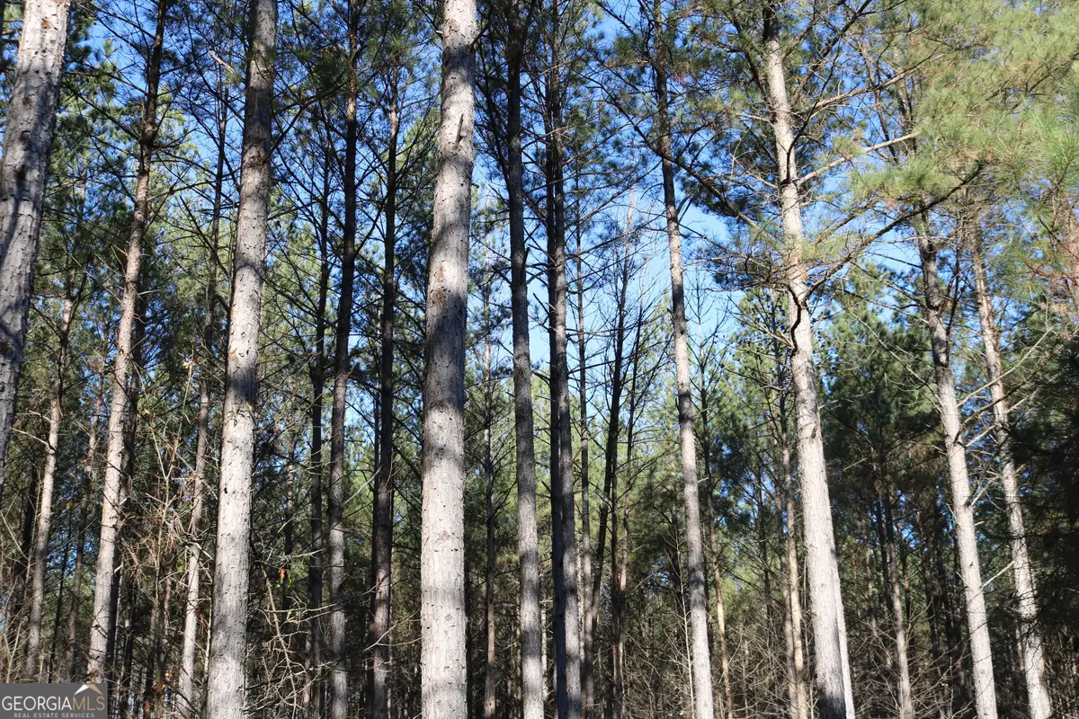 0 Iron Hill, Taylorsville, GA 30178 - Image #1