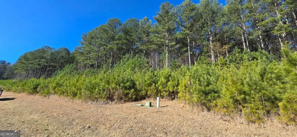 LOT 41 Deyton Drive, Blairsville, GA 30512 - Image #1