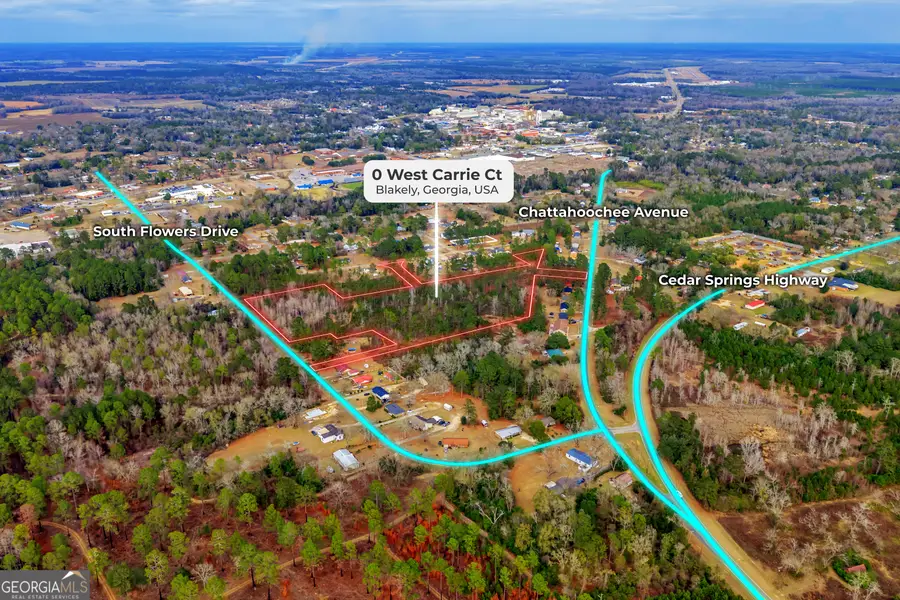 0 West Carrie Ct, Blakely, GA 39823 - Image #2