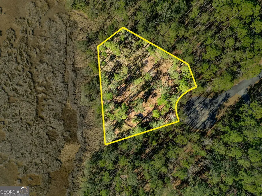 LOT 138 Sapelo Circle, Townsend, GA 31331 - Image #2