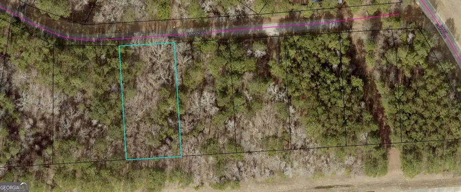 1140 Caboose Court, Greensboro, GA 30642 - Image #3