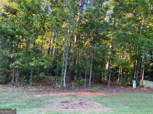 1061 Big Water Point, Greensboro, GA 30642 - Image #2