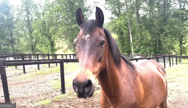 349 Debord Drive #LOT 4, Waleska, GA 30183