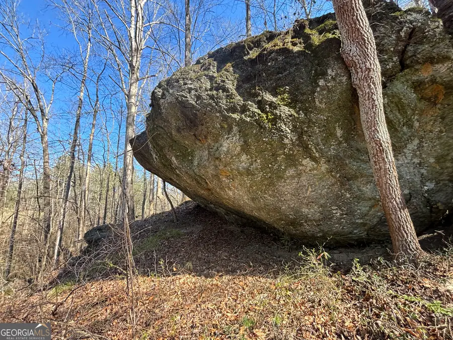 10220 Reinhardt College Parkway #LOT 6, Waleska, GA 30183 - Image #3