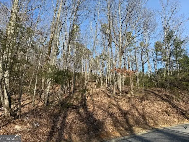 LT 1502 Raspberry Lane, Clarkesville, GA 30523 - Image #2