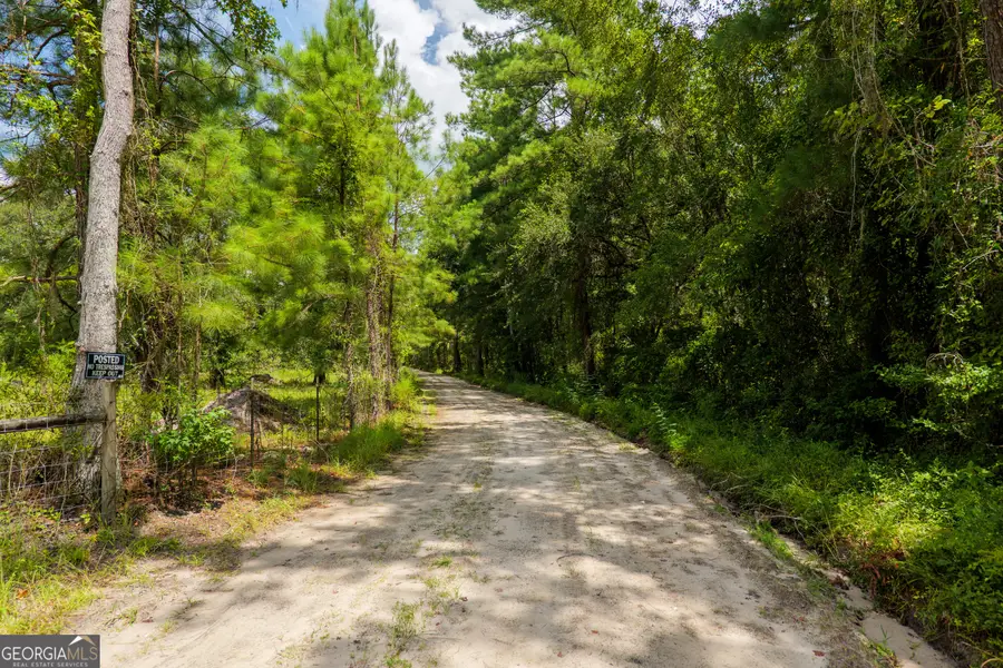 99 Eagle Nest, Fargo, GA 31631 - Image #3