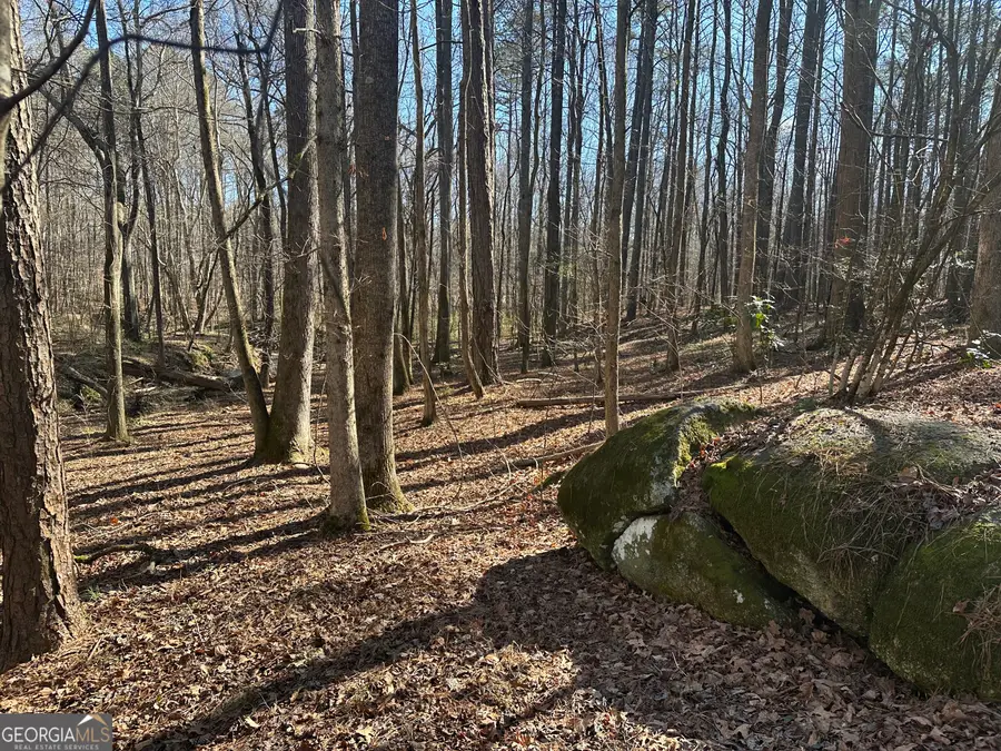 178 Crabapple Lane, Tyrone, GA 30290 - Image #2