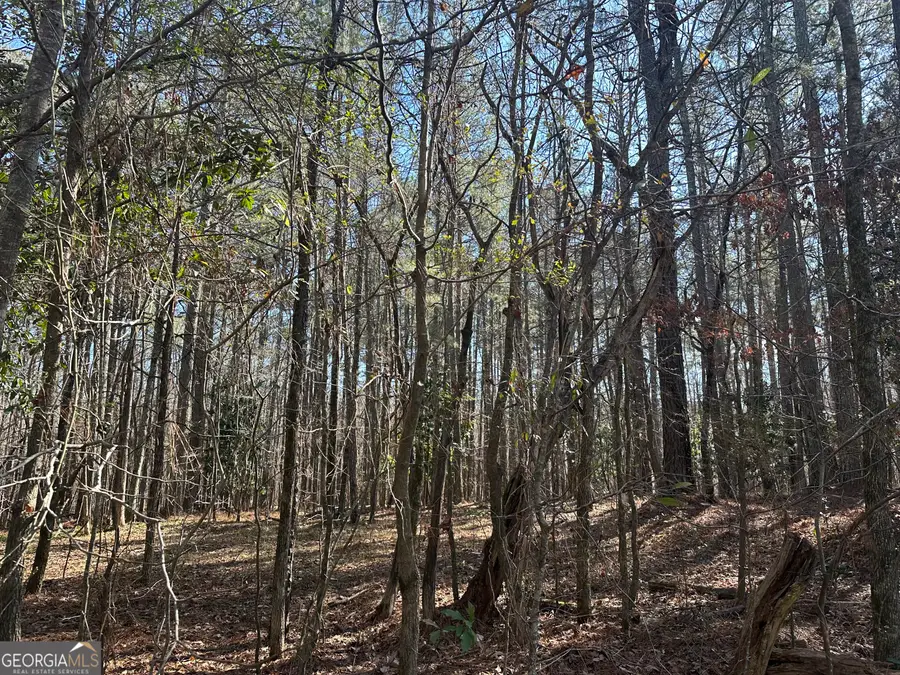 178 Crabapple Lane, Tyrone, GA 30290 - Image #3