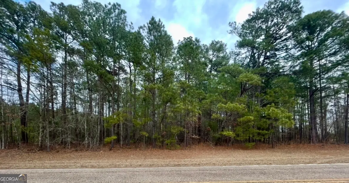 0 Midway Road, Barnesville, GA 30204 - #1