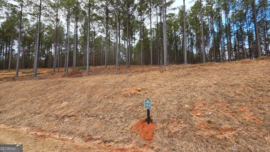 111 Staunton Court, Ellijay, GA 30540 - Image #2