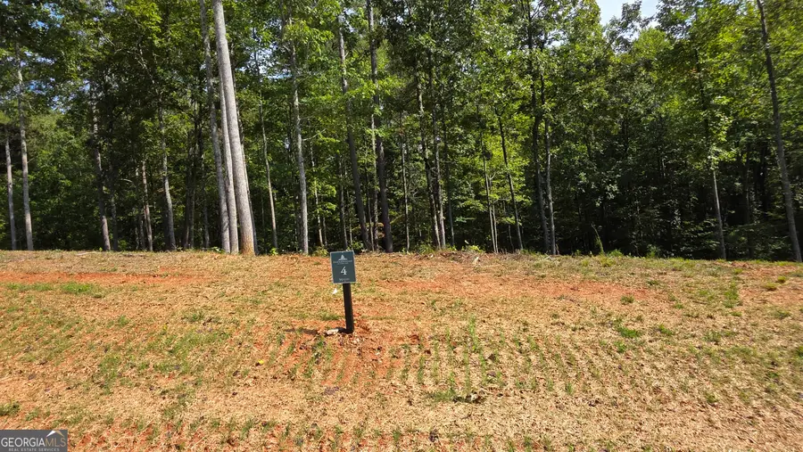 4 Springfield Parkway, Ellijay, GA 30540 - #2