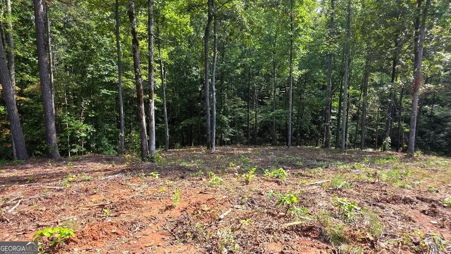 4 Springfield Parkway, Ellijay, GA 30540 - #3