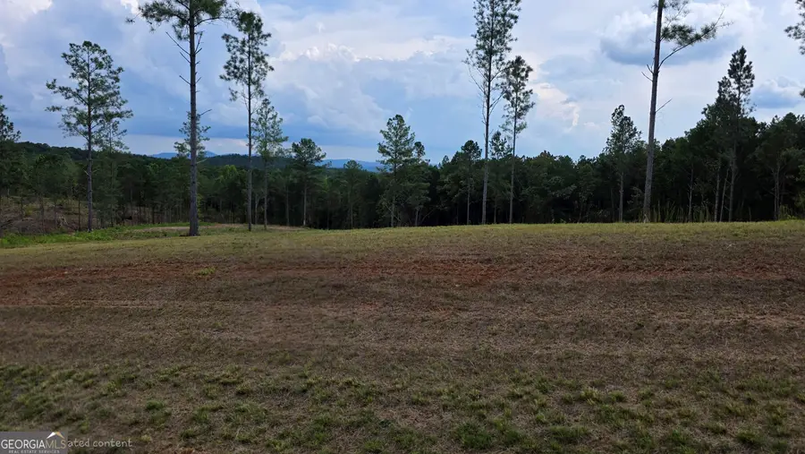 31 Springfield Parkway, Ellijay, GA 30540 - #2