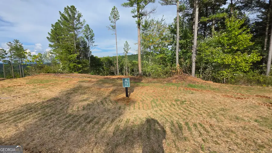 71 Elkton Court, Ellijay, GA 30540 - #3