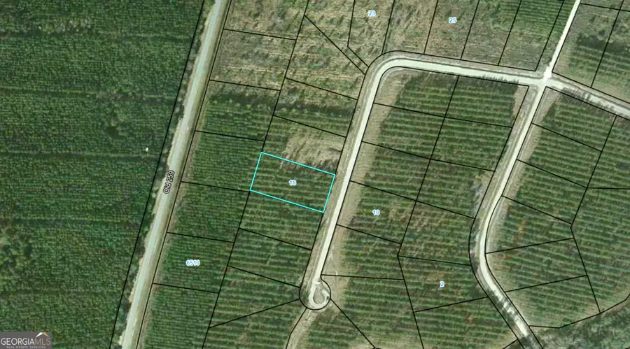 18 Satilla Plantation, Waynesville, GA 31566 - #2