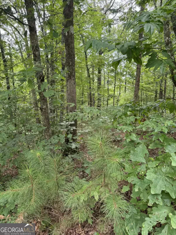 LOT 5 Harris Creek Drive, Ellijay, GA 30540