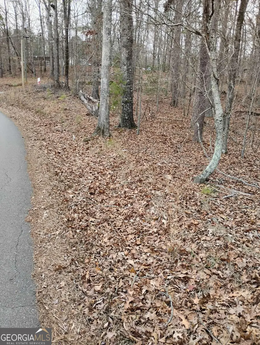 0 Willie West Road, Canton, GA 30114 - #2