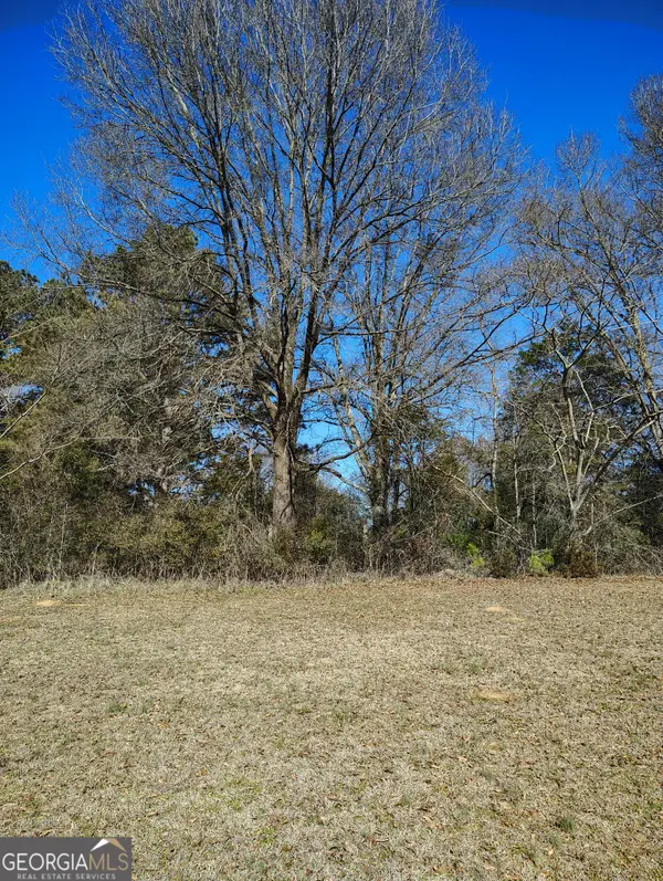 0 Flint Hill Road, Aragon, GA 30104