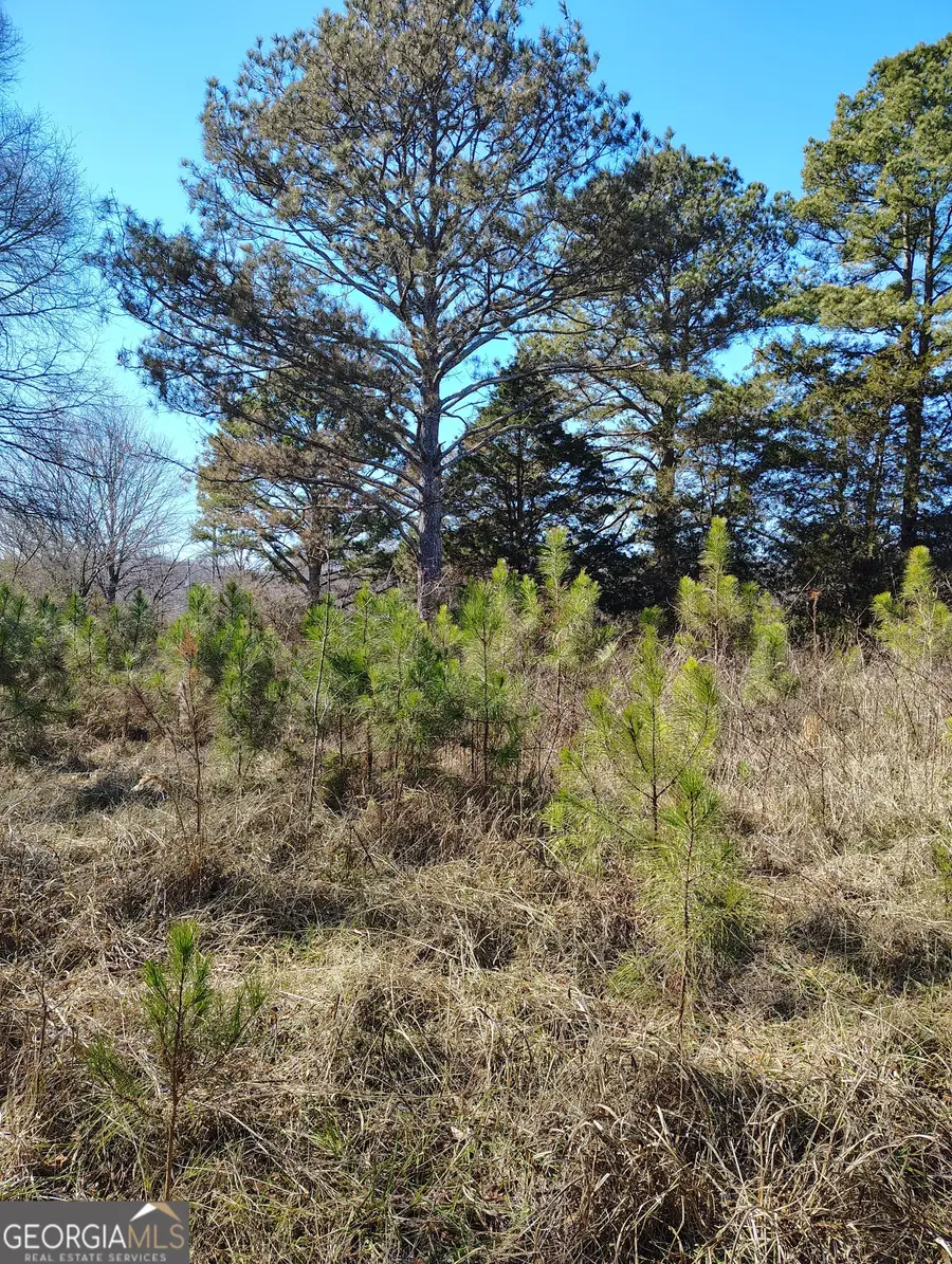 0 Flint Hill Road, Aragon, GA 30104 - Image #2