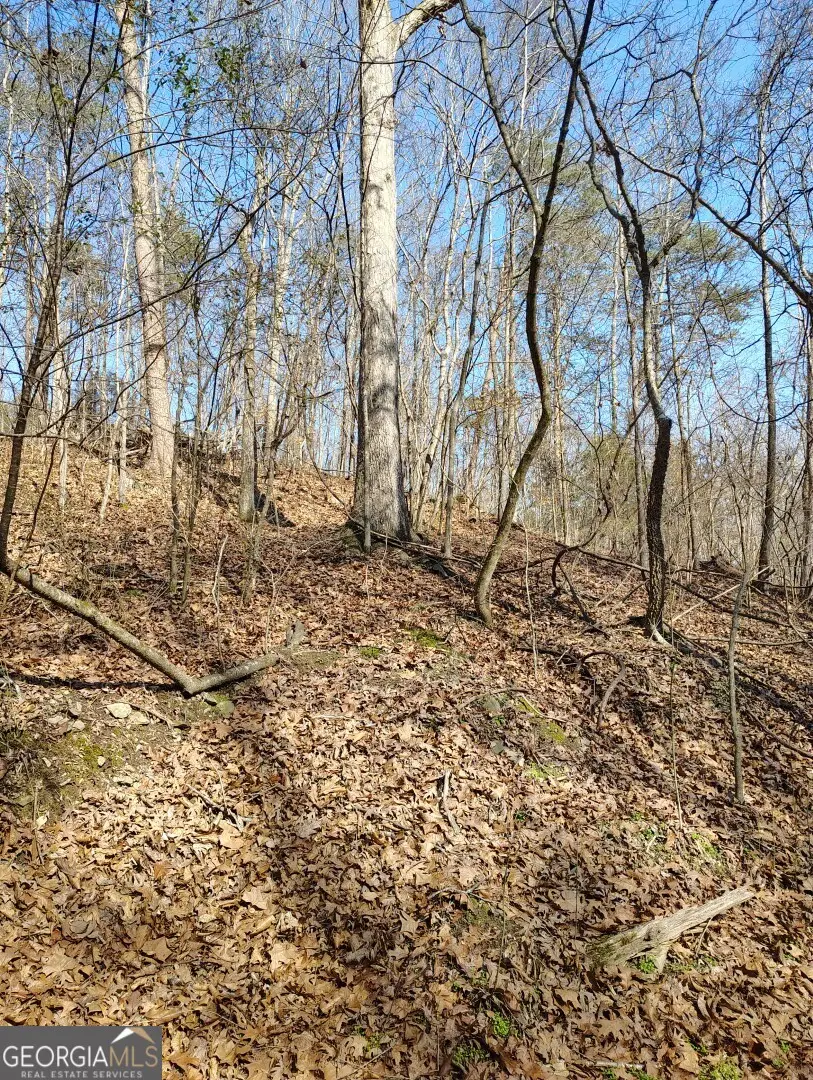 0 Braswell Road, Rockmart, GA 30153 - #1