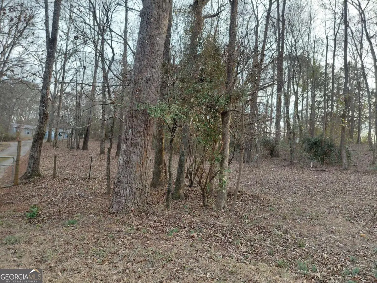 102 Brookview Drive, Griffin, GA 30223 - #1