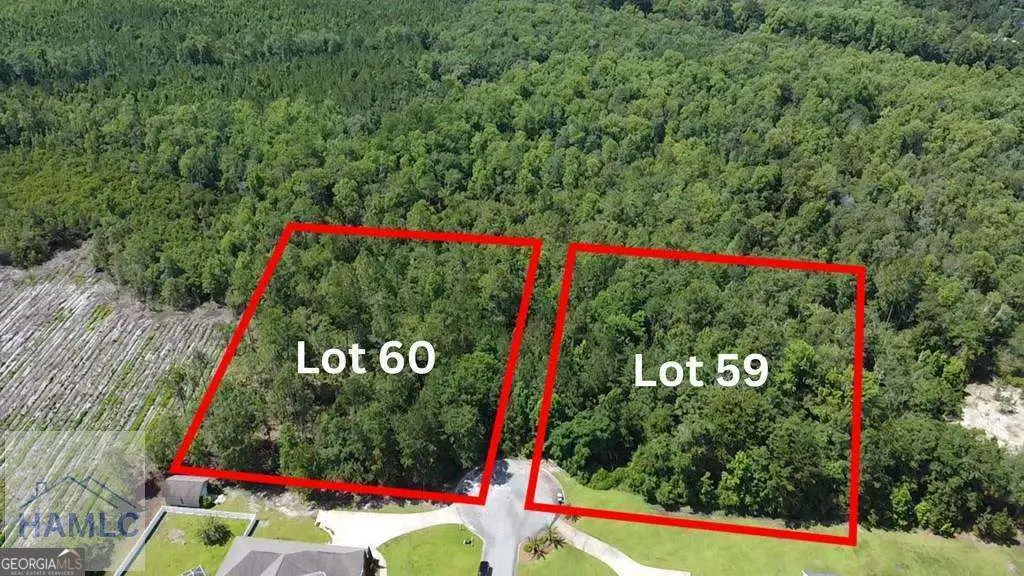 113 Vixenhill Drive, Jesup, GA 31546 - #1