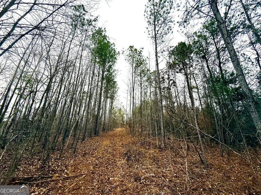 14 Turning Point Way, Elberton, GA 30635 - Image #2