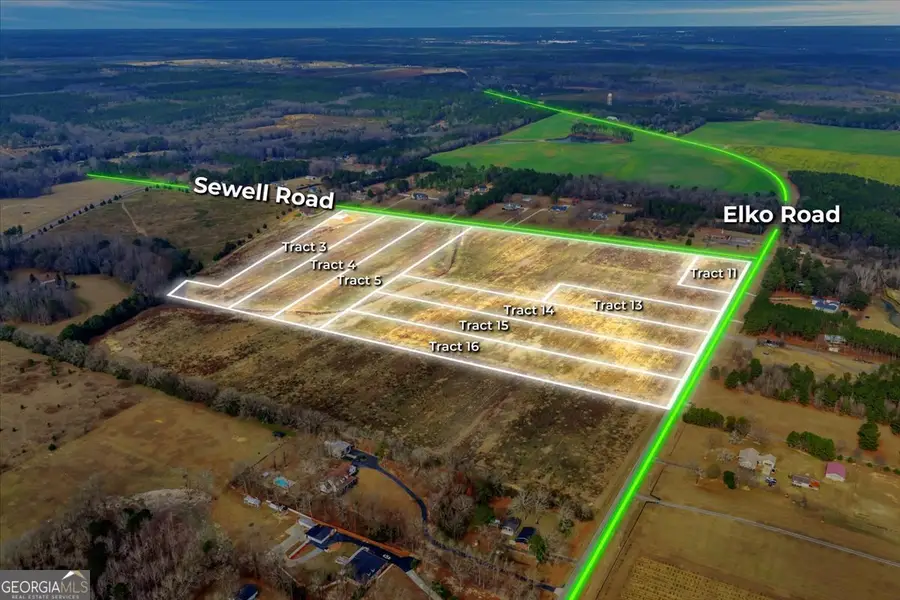 LOT 3 Sewell Road, Elko, GA 31025 - #2
