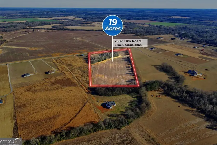 2585 Elko Road, Elko, GA 31025 - #3