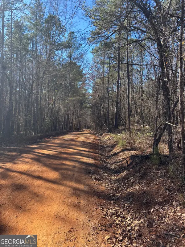 0 Carl Mathis Road, Talbotton, GA 31827