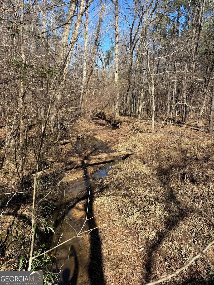 0 Carl Mathis Road, Talbotton, GA 31827 - #3