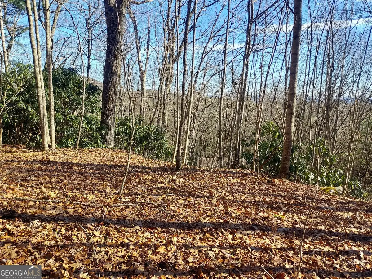 0 LOT 14 & 15 Honey Bear, Dillard, GA 30537 - #1