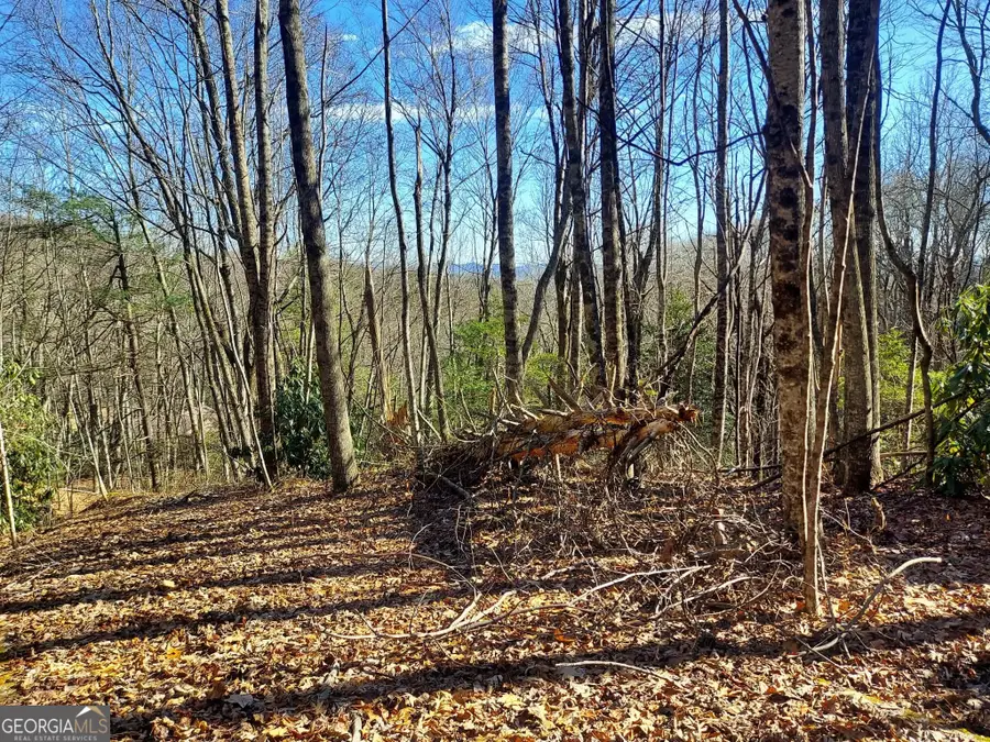 0 LOT 14 & 15 Honey Bear, Dillard, GA 30537 - #2