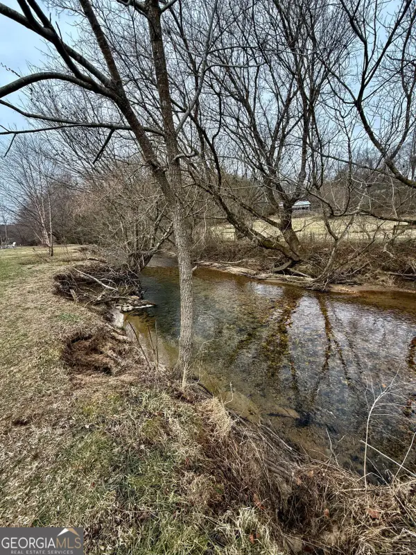 118 Mountain Meadows Drive #118, Morganton, GA 30560