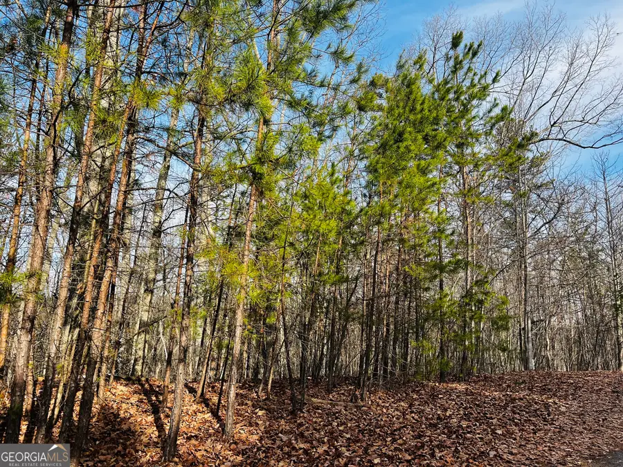 LOT 6 Planters Pointe Drive, Banks, GA 30511 - #2