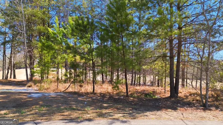 101 Cottage Lane, Toccoa, GA 30577 - #2