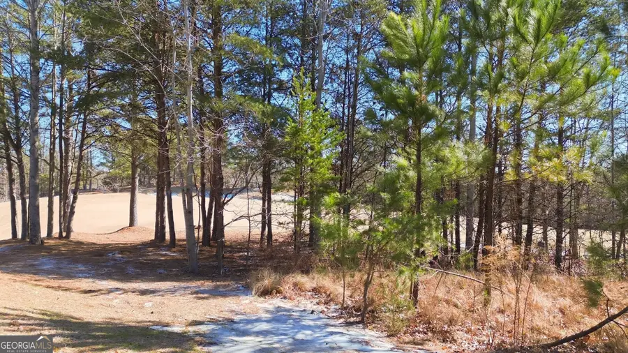 101 Cottage Lane, Toccoa, GA 30577 - #3