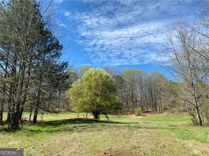 5519 Union Hill Road, Alpharetta, GA 30004 - #2