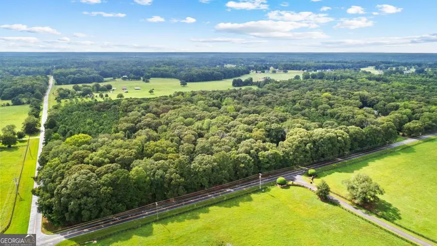 0 Sid Hunter Road #LOT 2, Sharpsburg, GA 30277 - #2