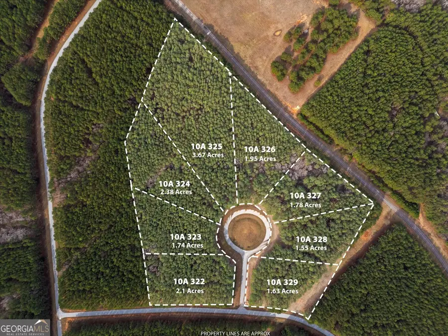 0 Magnolia Court, Tignall, GA 30668 - #2