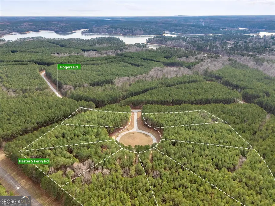 0 Magnolia Court, Tignall, GA 30668 - #3