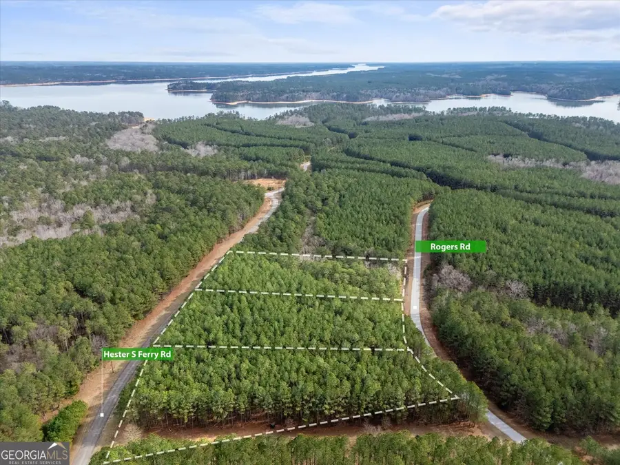 0 Rogers Road, Tignall, GA 30668 - #3