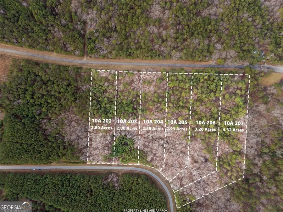 0 Winding Ridge Drive, Tignall, GA 30668 - #2