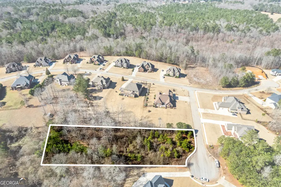 404 Marilyn Court, Stockbridge, GA 30281 - #2